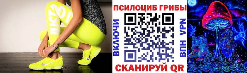 хочу наркоту  Чекалин  Галлюциногенные грибы прущие грибы 